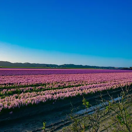 度假居 Sol 卡兰茨奥赫