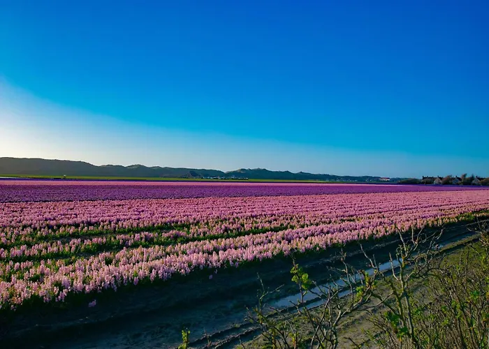 Hébergement de vacances Sol Callantsoog
