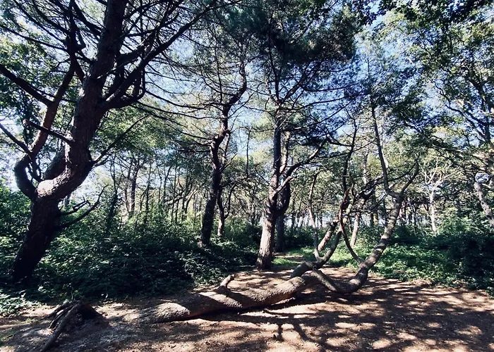 Sol Hébergement de vacances *